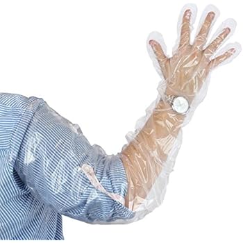 Royal 35 Inch Shoulder Length Poly Gloves, Pack of 100