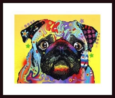 Pug, framed black wood, white matte