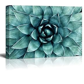 Classic Teal Succulent - Canvas Art