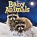 Baby Animals At Night