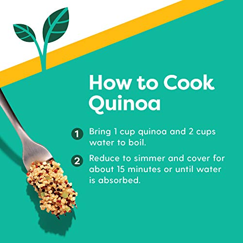 Ancient Harvest USA Grown Traditional White Quinoa 27 Oz (Pack of 1