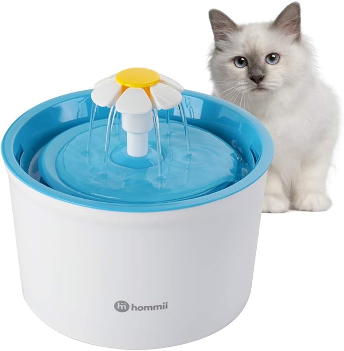 golden retriever in a flat