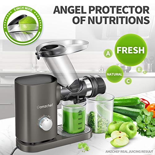 AMZCHEF Slow Juicer Machines Slow Masticating Juicer Cold Press Juicer