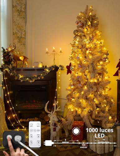 BESCOST Outdoor String Lights 100 m, 1000 LED String Lights, Outdoor Lights with 8 Modes, Waterproof Outdoor LED Lights, Decoration for Christmas, Party, Wedding, Patio, Garden, Festival, etc