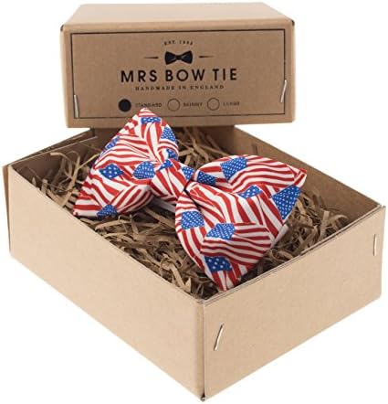 Mini American Flag Bow Tie