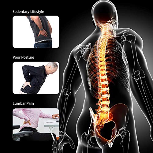 Spine Deck Back Stretcher with Acupressure Points, MultiLevel Lumbar Stretching Device