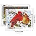 HaiMay 2 Pack DIY 5D Diamond Painting by Number Kits Full Drill Round Rhinestone Embroidery Pictures Arts Craft for Home Wall Decoration, Birds (12 x 16inch)