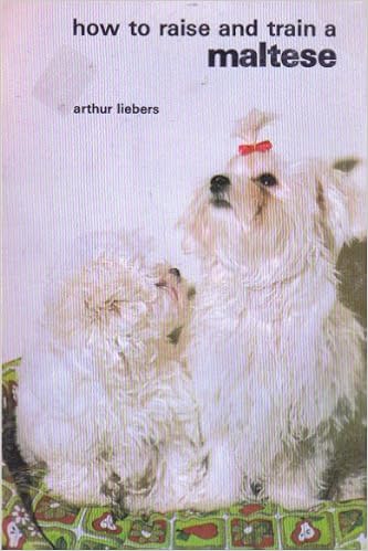 Maltese (How to Raise & Train S.) �y�[�p�[�o�b�N - 1988/1/1