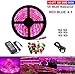LED Strip Light, Topled Light Plant Grow Light with Power Adapter, 5050 SMD Waterproof Full Spectrum Red Blue 4:1 Rope Lamp for Aquarium Greenhouse Hydroponic Plant Veg Garden Flowers (5 M)