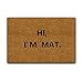 BlueSpace Printing Doormat Outdoor Indoor Rubber Thin Non Slip Carpets for Front Door Kitchen Bedroom Garden, 2' x 3' (HI, I'm MAT)
