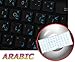 4Keyboard Arabic Keyboard Labels ON Transparent Background with Blue Lettering (14X14)