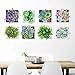 iwallsticker 27 28inch Succulent Plant Wall Sticker Green Quotes Potted Cactus Wall Decal Vinyl Stickers for Living Room Kitchen Nursery Bedroom Wallpaper