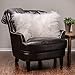 Chanasya Soft Shaggy Fuzzy Fur Long Mangolian Faux Fur Cozy Elegant Chic Decorative White Throw Pillow Cover Pillow Sham- White 2-Pack Throw Pillowcase 18x18 Inches (Pillow Insert Not Included)
