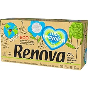 Renova Renova Gezichtsdoekjes van gerecycled papier, 72 zakdoeken, FSC®-en Ecolabel gecertificeerd