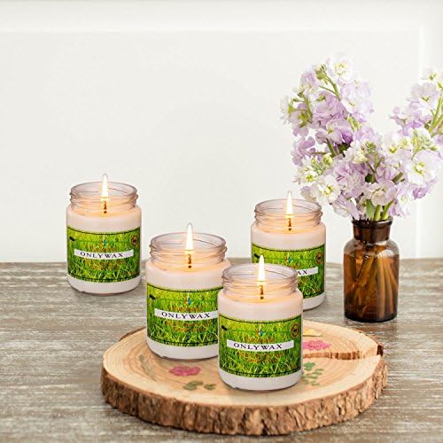 Natural Luxury Citronella Mosquito Repellent Candle,Soy Wax Mosquito Bug Repellent Decorative Glass Jar - 48 Hour Burn - Naturally Repels Insects with Essential Oils - 6.8 oz Outdoor Indoor (4 Pack)