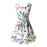 Hee Grand Women's Casual Summer Fit and Flare Floral Sleeveless Dress Chinese Feather