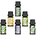 Aromatherapy Essential Oils Set, Iextreme Organic 100% Pure and Natural - Lavender, Tea Tree, Eucalyptus, Lemongrass, Orange, Peppermint - 6 Bottles/ 0.34oz Each