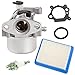 TOPEMAI 799866 Carburetor for Briggs Stratton 794304 799871 796707 790845 Toro Craftsman Lawn Mower with 491588 Air Filter