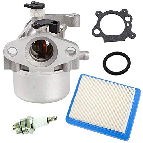 TOPEMAI 799866 Carburetor for Briggs Stratton 794304 799871 796707 790845 Toro Craftsman Lawn Mower with 491588 Air Filter