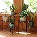 Sunnydaze 3-Tiered Metal Plant Stand, Indoor/Outdoor Flower Pot Holder, 22-Inch Tall, Set of 2, Blackthumb 3