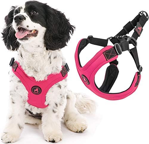 Gooby Dog Harness – Escape Free Sport Patented Step-in Neoprene Small Dog Harness – Perfect on The Go Four-Point Adjustable Harness for Small Dogs or Cat Harness