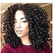 ENTRANCED STYLES Synthetic Curly Wig For Women Kinky Afro Wigs for Black Women Full Wigs Heat Resistant Fiber (280g 14