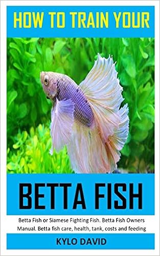 fighter fish in amazon