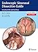 Endoscopic Sinonasal Dissection Guide: Including Orbit and Skull Base