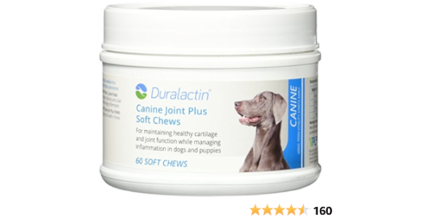 duralactin soft chews