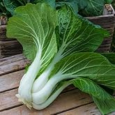 Caribou Seed Company | BOPAK PAK Choi | 40-50 Seeds | Asian/Chinese Cuisine | Organic, Heirloom Seed
