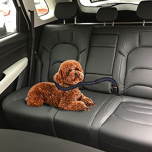 URIJK 2 Pack Dog Car Seat Belt, Adjustable Dog Seatbelt for Dog Harness Vehicle Car Pet Safety Belt Leash Leads with Durable Elastic Nylon Bungee Buffer for Shock Attenuation, Fits Small to Medium Dog