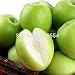 Hot selling 20pcs/lot Taiwan39;s big jujube ,sweet dates seed evergreen fruit tree bonsai plant DIY home garden