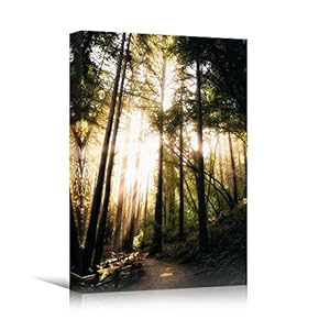 signwin Canvas Wall Art Green Forest Dramatic Forest...