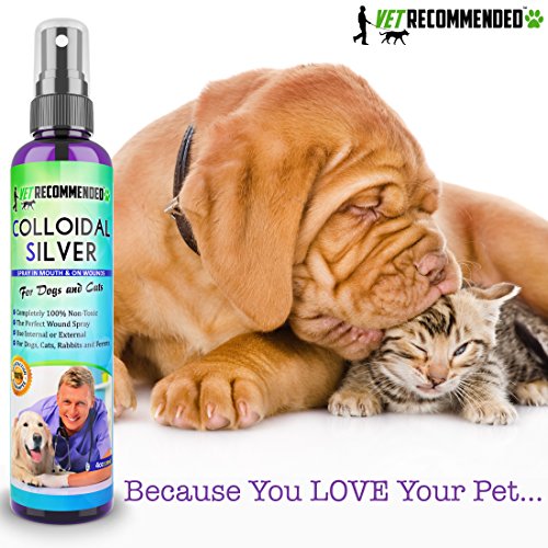 Vet Colloidal Silver For Dogs & Cats Colloidal Silver