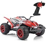 Fistone RC Car 1:22 Scale Radio Control High Speed Racing Car Monster Truck Off Road Dune Buggy Wireless Receiver Remote Control Hobby Toys for Kids & Adults