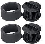 BISSELL 32R9 Circular Filter Set (2 pack)