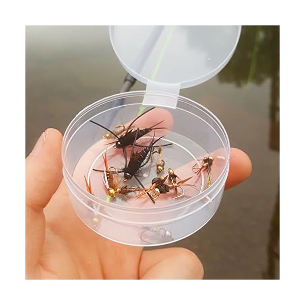 Go-to-Trout-Fly-Fishing-Nymph-Assortment-12-Flies Go-to-Trout-Fly-Fishing-Nymph-Assortment-12-Flies