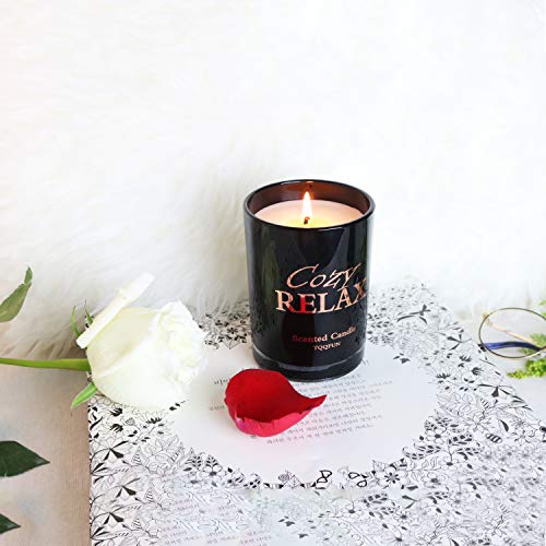 TQQFUN Premium Scented Candle Soy Candle Aromatherapy Candle 45-50 Hours Long Burning Time for Home Use and Gift Giving, Smokeless Candles(Black, 8.8 oz)