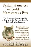 Syrian Hamsters or Golden Hamsters as Pets. by Little Fella, Karola Brecht