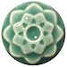 AMACO Celadon High Fire Transparent Gloss Glaze Aqua