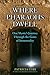 Where Pharaohs Dwell: One Mystic's Journey Through the Gates of Immortality by Patricia Cori, Stephen Mehler