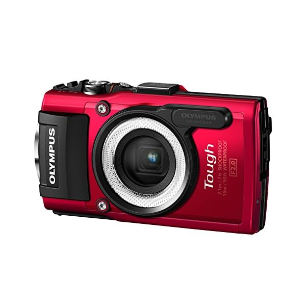 Olympus LG-1 LED Lichtleiteraufsatz (geeignet für TG-7, TG-6, TG-5, TG-4, TG-3, TG-2, TG-1) – Bild 4