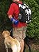 Heininger  3050 PortablePet FoodTote