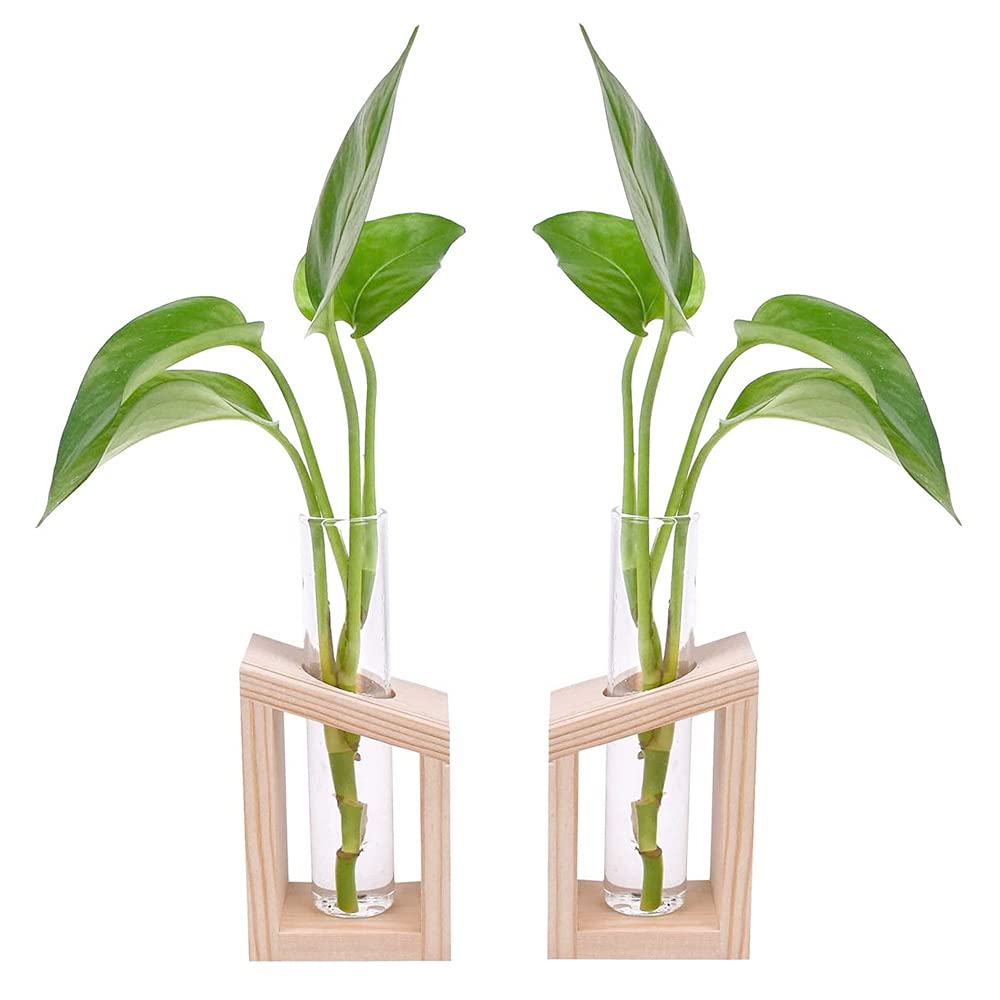 2 Pieces Hydroponic Plants Test Tube, Test Tube Vase, Wooden frame hydroponic vase, Tabletop Hanging Glass Planter Propagation Station, Use to Office Home Decoration (6×4×13cm)