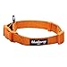 Blueberry Pet 4 Colors Better Basic Dog Collar, Orange Fusion, X-Small, Neck 7.5