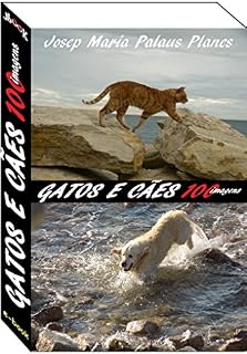 Gatos e cães (100 imagens)