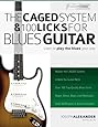 The Caged System And 100 Licks For Blues Guitar Learn To