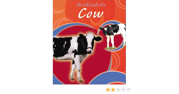 The Life Cycle Of A Cow Life Cycles Trumbauer Lisa 9780736814515 Amazon Com Books