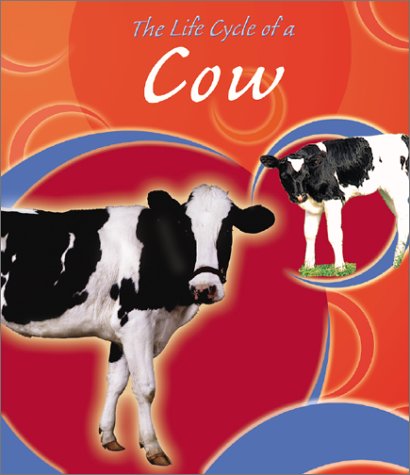 The Life Cycle Of A Cow Life Cycles Trumbauer Lisa 9780736814515 Amazon Com Books