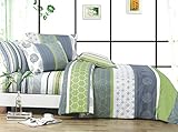 Serene 3pc 100% Cotton Duvet Cover Set : Duvet Cover and Two Matching Shams (King)